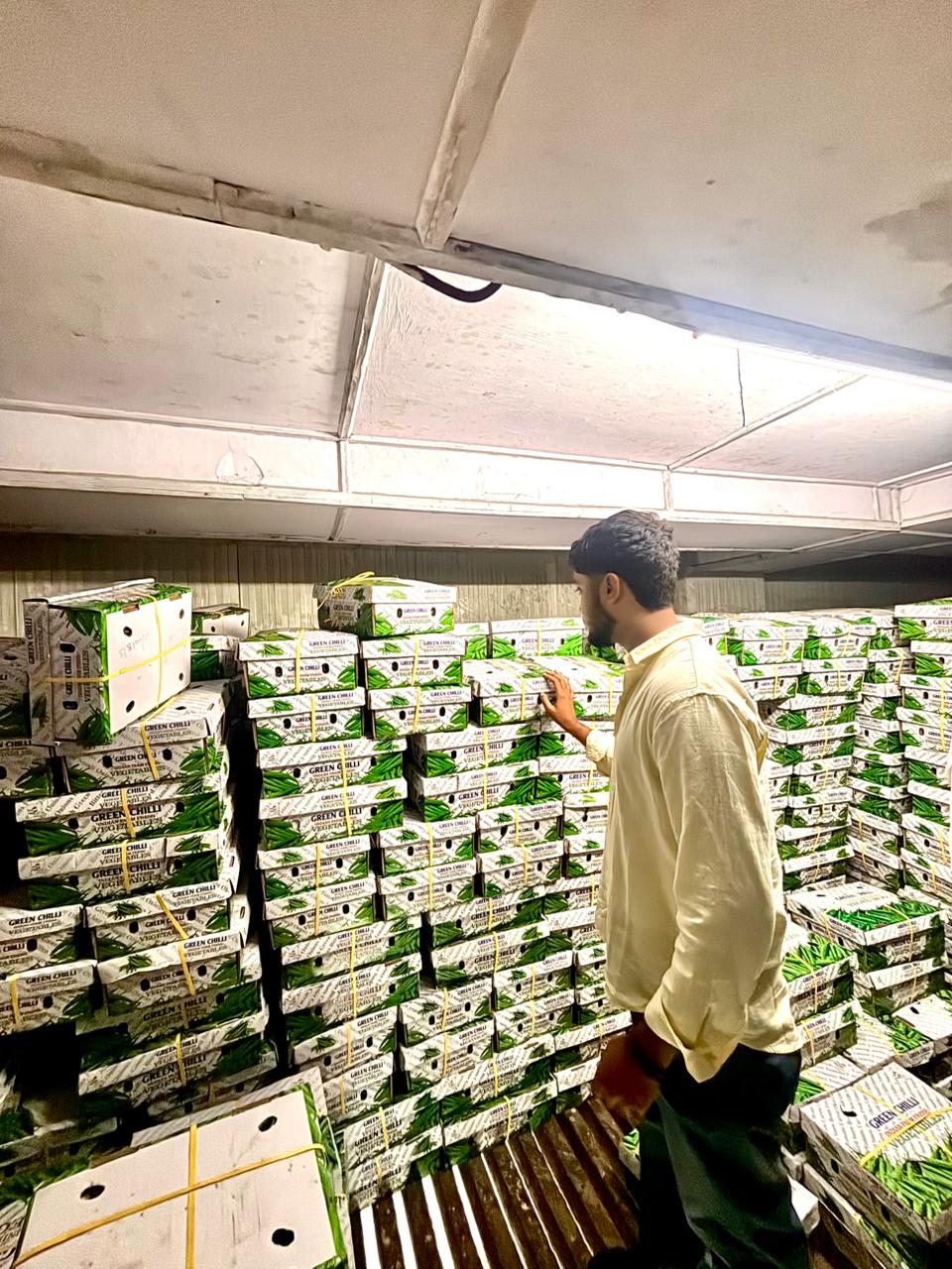 Cold Storage Facilities